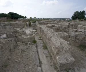 Royal Palace of Ugarit 5